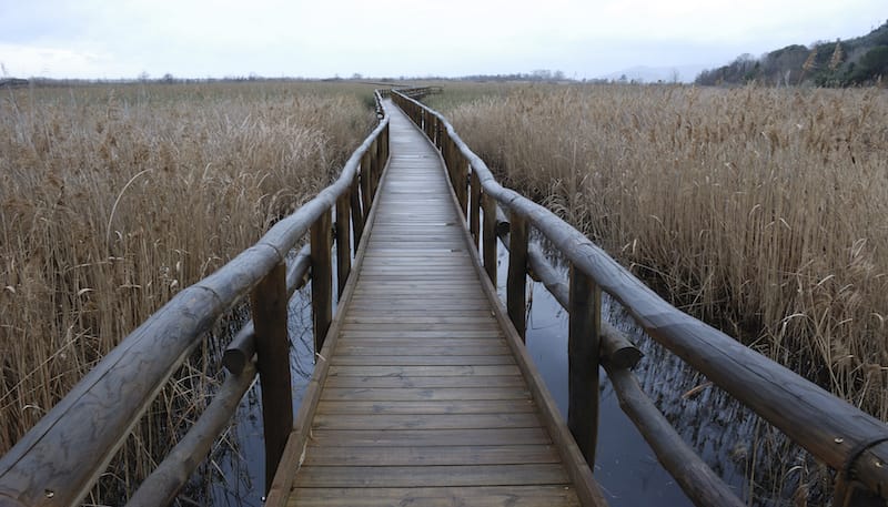 Narrow_Bridge