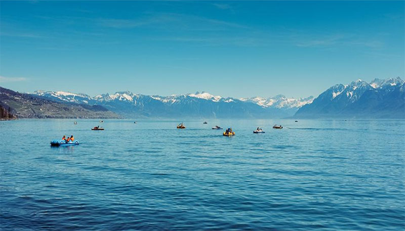 Ocean800x457.jpg
